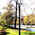 Lantern Near Lazienki Park In Warsaw, Poland