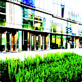 Lawn At Office Building In Warsaw, Poland