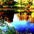 Lazienki Park In Warsaw, Poland 5